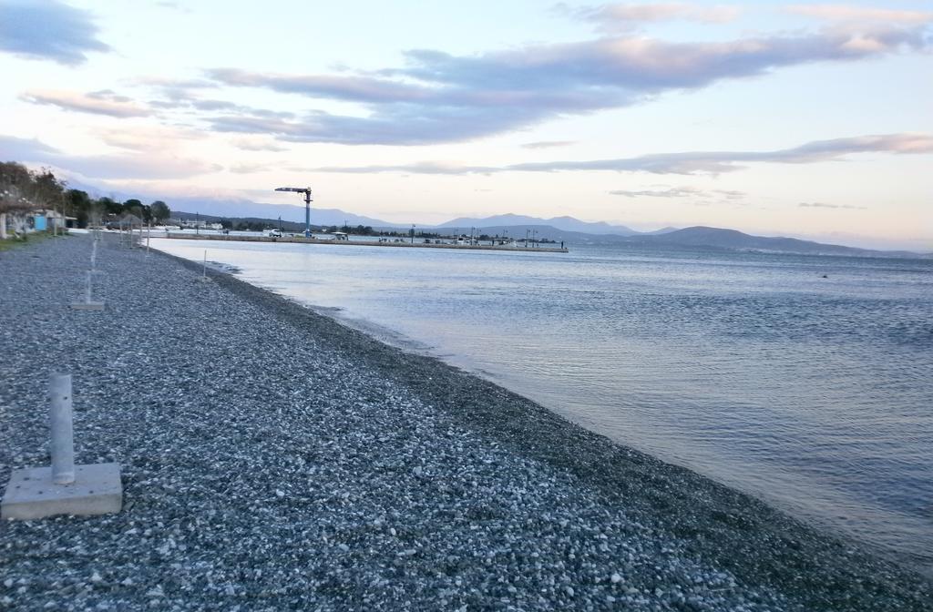 Artemis - Marina Apartments Evia Zimmer foto