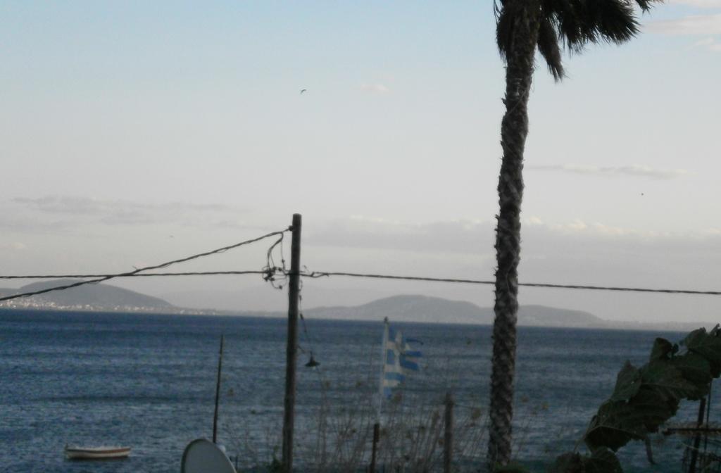 Artemis - Marina Apartments Evia Zimmer foto