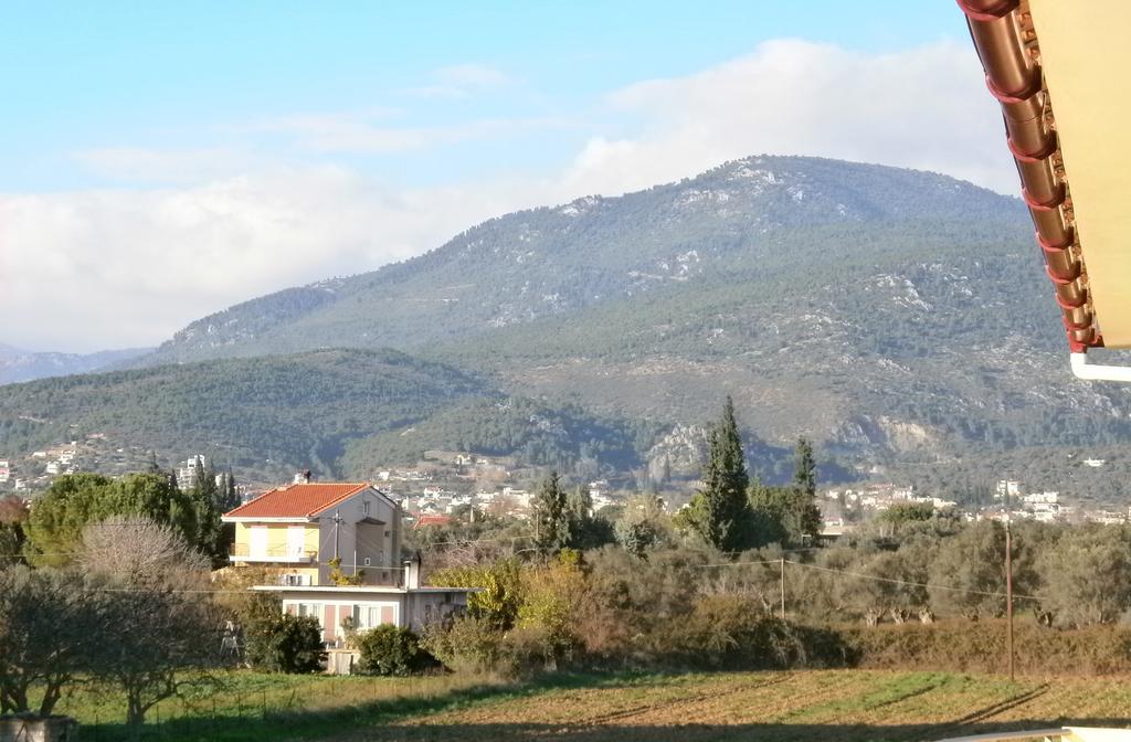 Artemis - Marina Apartments Evia Zimmer foto
